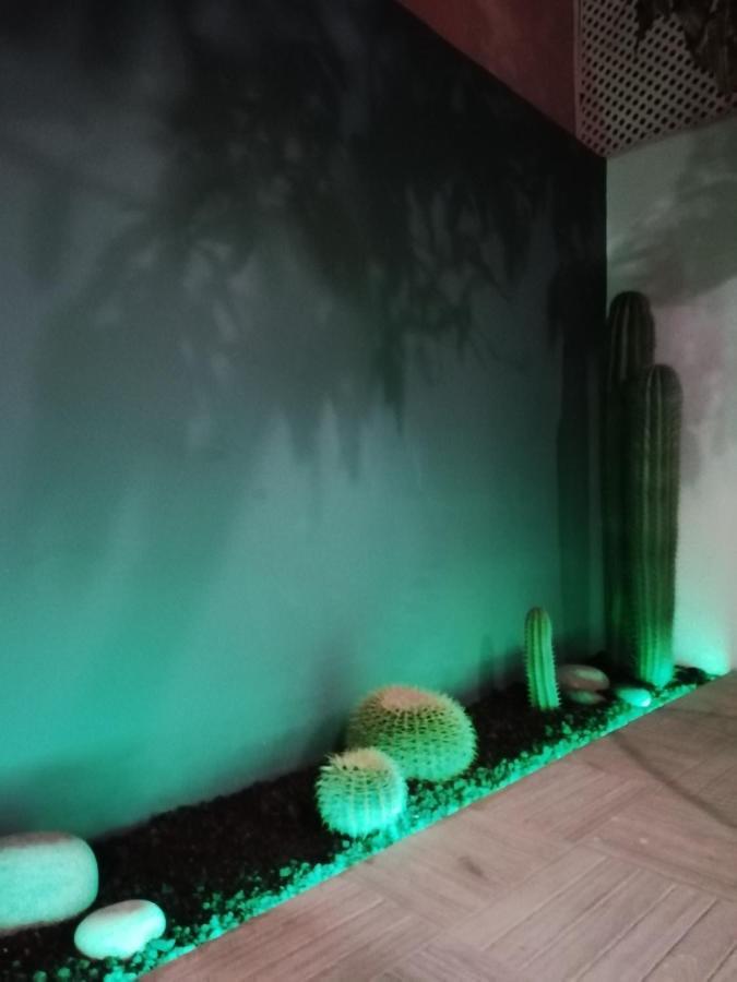 Casa Guadalupe Y Roque Villa Santa Cruz de Tenerife Luaran gambar